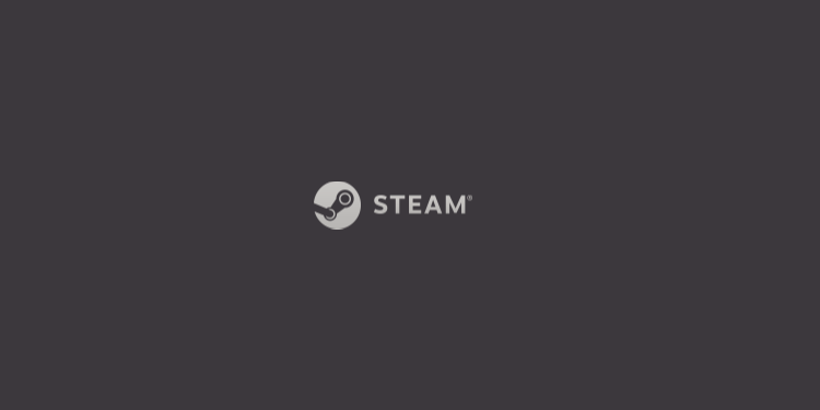 Steam：畅玩游戏