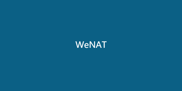 WeNAT-内网穿透工具